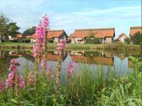 Ferienhäuser im Ferienpark Gut Düneburg